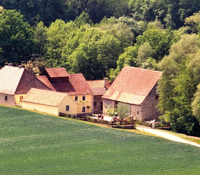 Hof